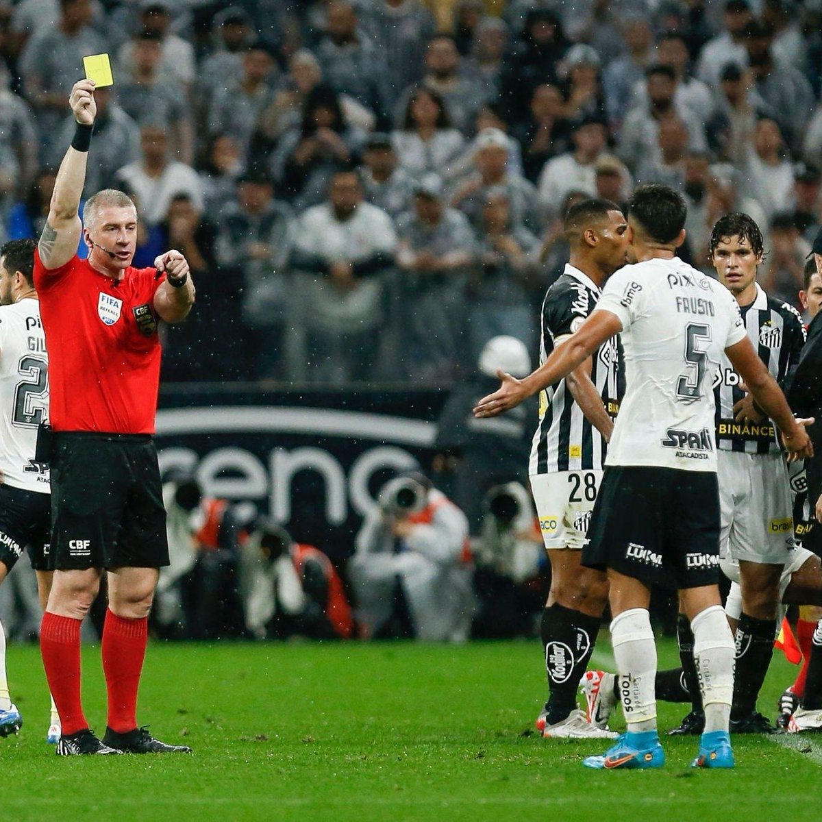 SCCP News tweet media