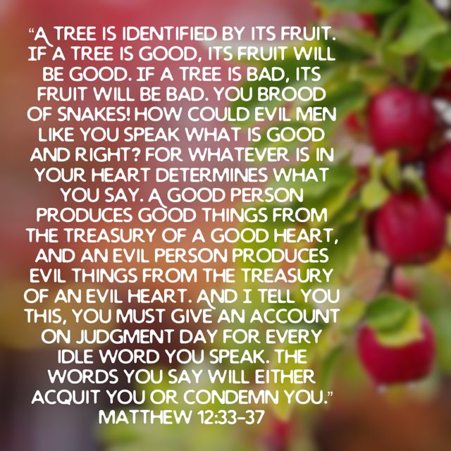 Nicholas Tompanis tweet media