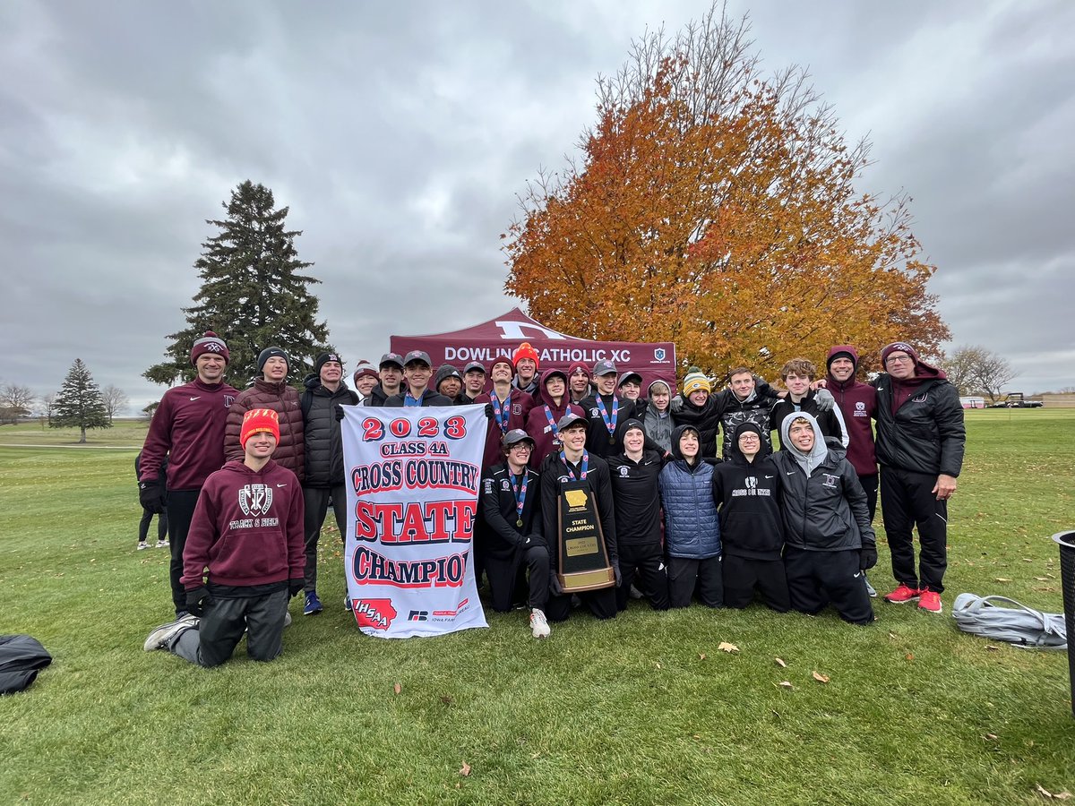 Timothy Ives tweet media