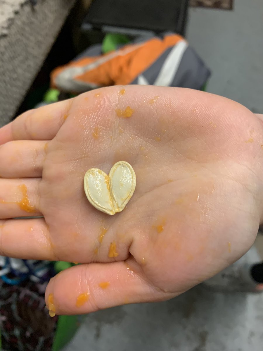 Charli strikes again!