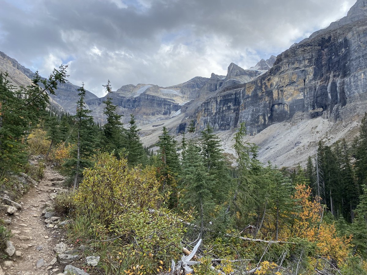 thegoodsmethod's tweet photo. @therunchat A6. Alpine and sub-alpine trails in the beautiful BC Rockies. #runsteepgethigh https://t.co/5Aacvsk2yd
