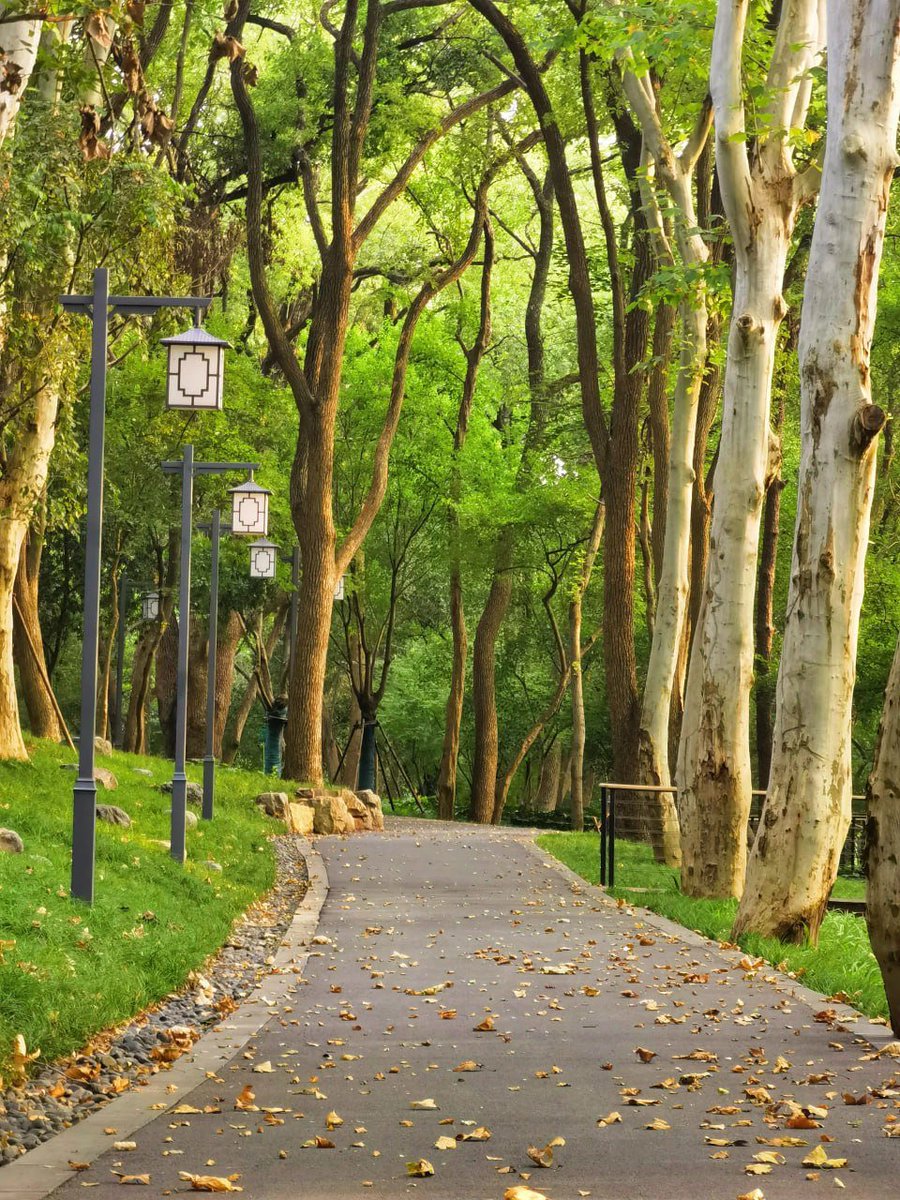 sambaz_sam's tweet image. "The morning air is fresh and pleasant. Let us take a deep breath and feel the beauty of life!"