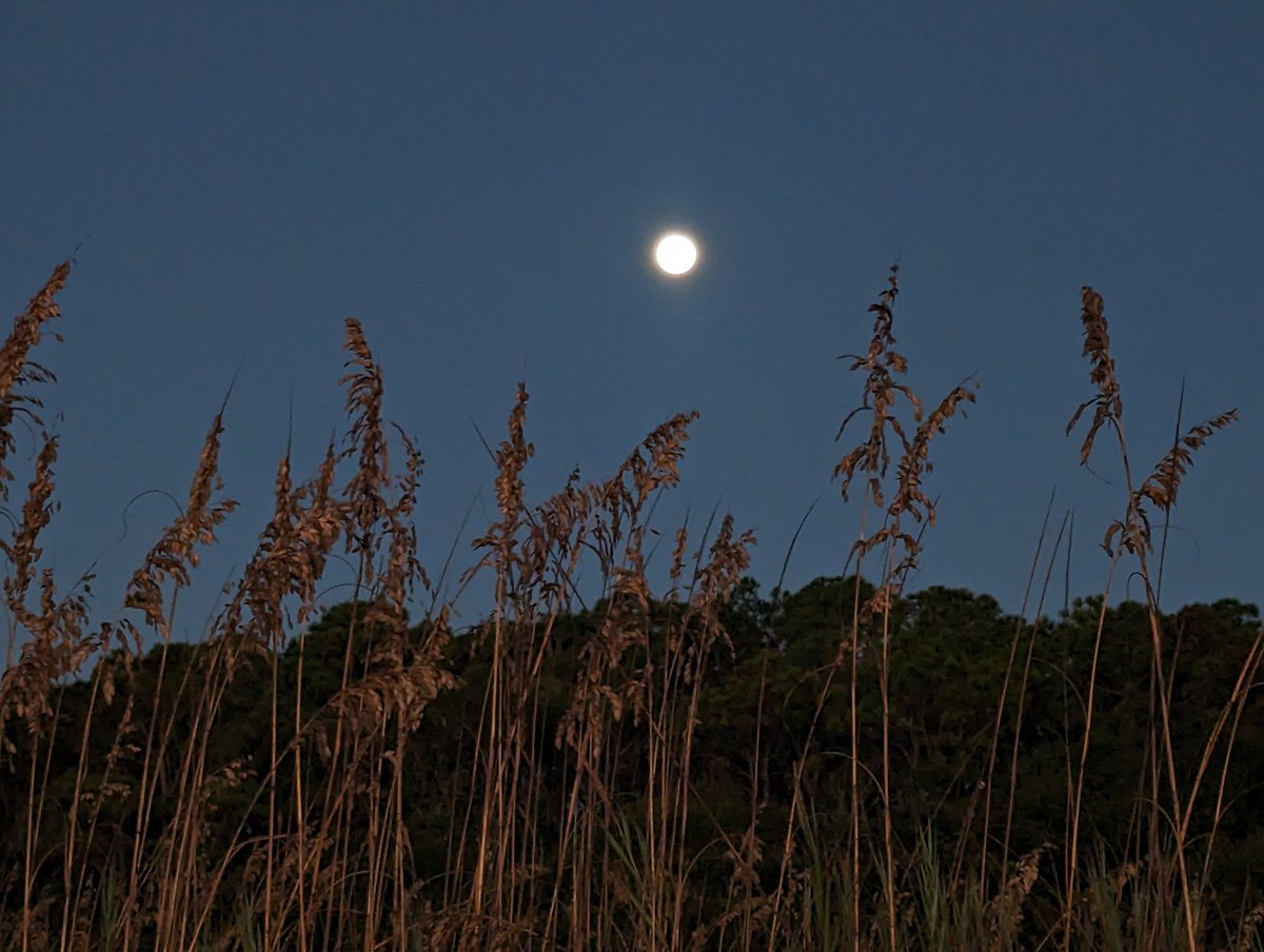 The full moon setting and...