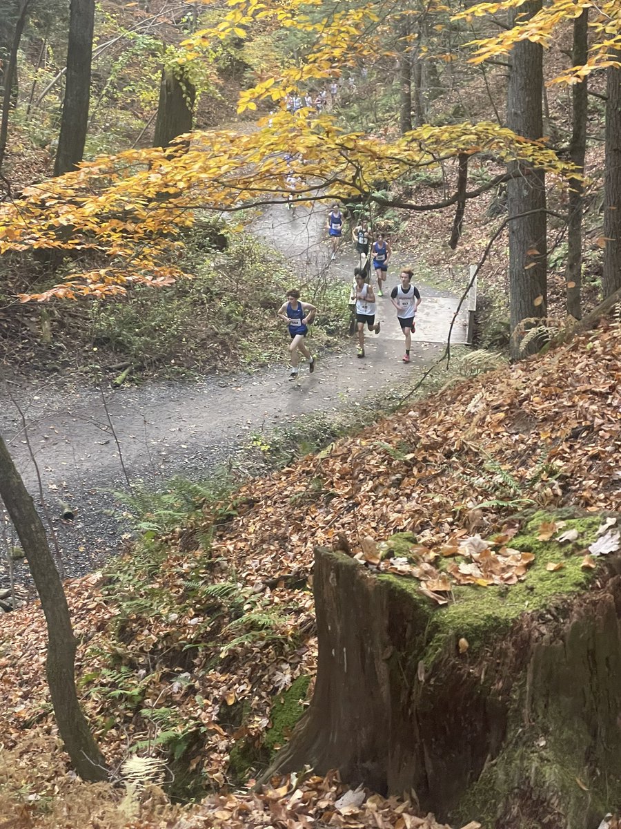 GuildBoysRun's tweet photo. GXC Boys teams ran with determination this past Saturday!

💥Suburban Council Championships💥

2nd place 🥈 Varsity tesm
2nd place 🥈 JV team
4th place 🙌 Freshmen team

(Varsity 2nd to Saratoga with loss only 4 points!) https://t.co/9LZArfc5Yy