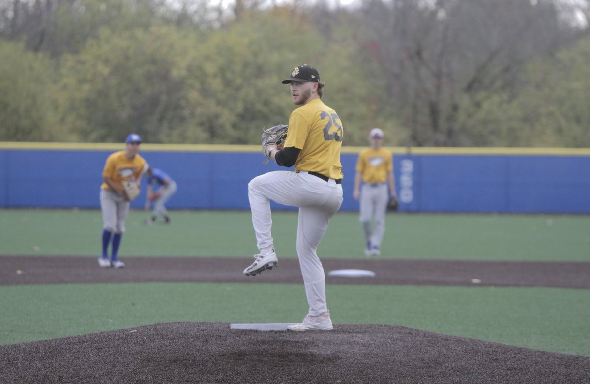Hilbert College Baseball tweet media