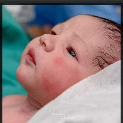 montiel angie tweet media