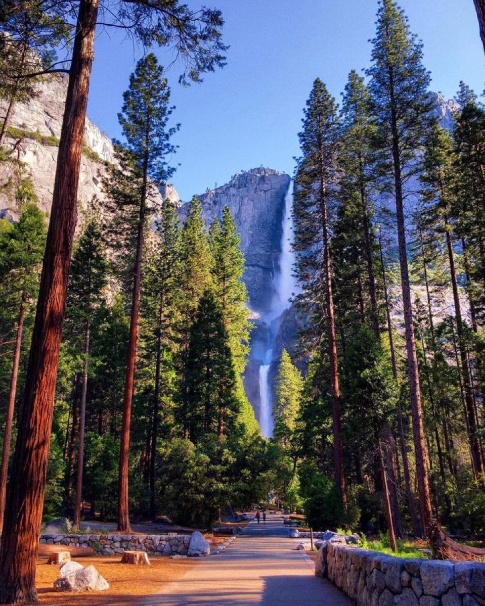 NationalParksX's tweet image. Glory glory, ol’ Yosemite