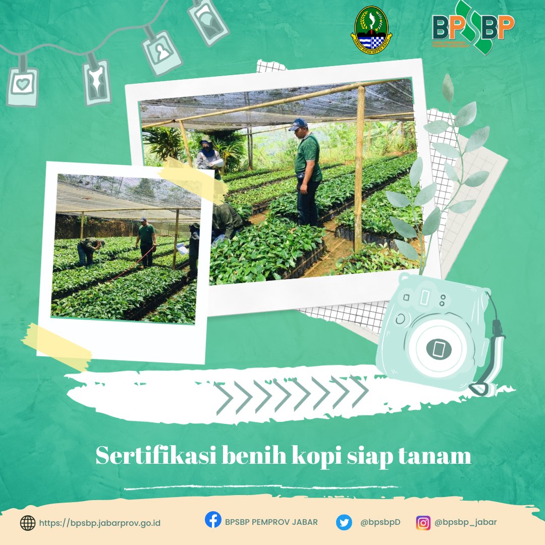 BpsbpD's tweet photo. Selamat Pagi #wargibunπ±π
Tim Pengawasan Benih Tanaman (PBT) dari UPTD Balai Pengawasan dan Sertifikasi Benih Perkebunuan melakukan Sertifikasi benih kopi siap tanam milik CV. Jembar di Kab. Tasikmalaya
#bpsbp #bpsbpjabar #disbun #disunjabar #perkebunanjaya https://t.co/o9p2b3bidL