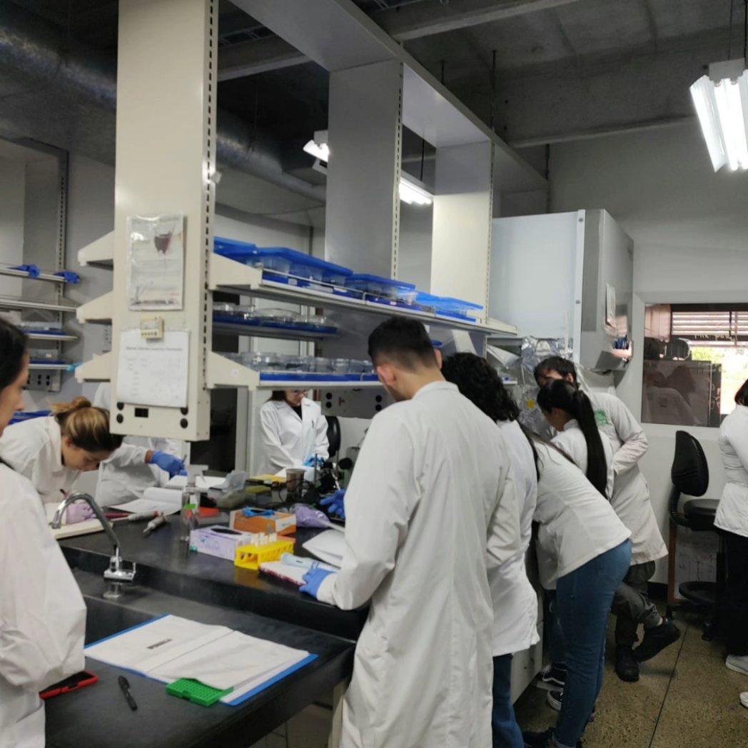 Congreso Colombiano Biología Desarrollo tweet media