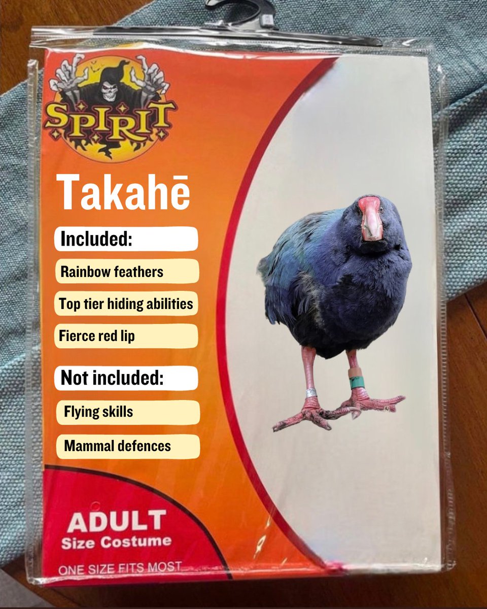 ZEALANDIA's tweet photo. In case you need help with your Halloween costume this year...👻🎃

We're backing takahē for @Forest_and_Bird's #BirdoftheCentury. They're a unique manu/bird, conservation icon and survivor.

Show your support by voting for takahē for Bird of the Year: https://t.co/o0OwLv8m15 https://t.co/5Fuxc20D1f