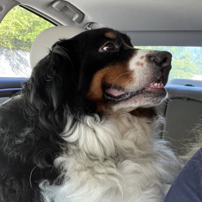 hrnorthfork's tweet photo. #NewProfilePic https://t.co/yI5zgOZesk