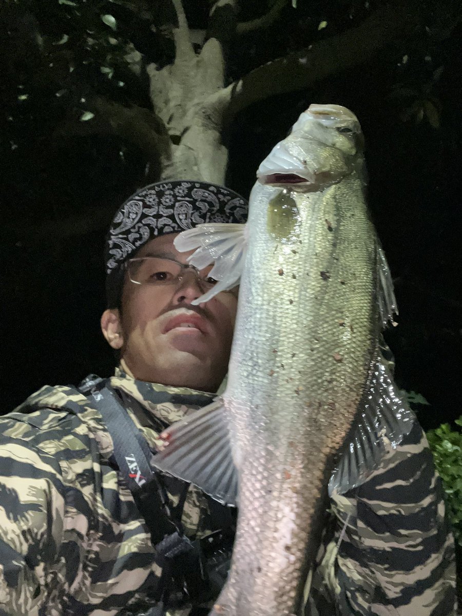 PACORIN85's tweet photo. ジョルティminiでドン🎣
丸呑み🐟
最後の最後ででかいのバラしたー😫
帰りは睡魔との戦い🚗
#湾奥シーバス #ジョルティmini #ジョルティはエサ https://t.co/K3oykpfqw7
