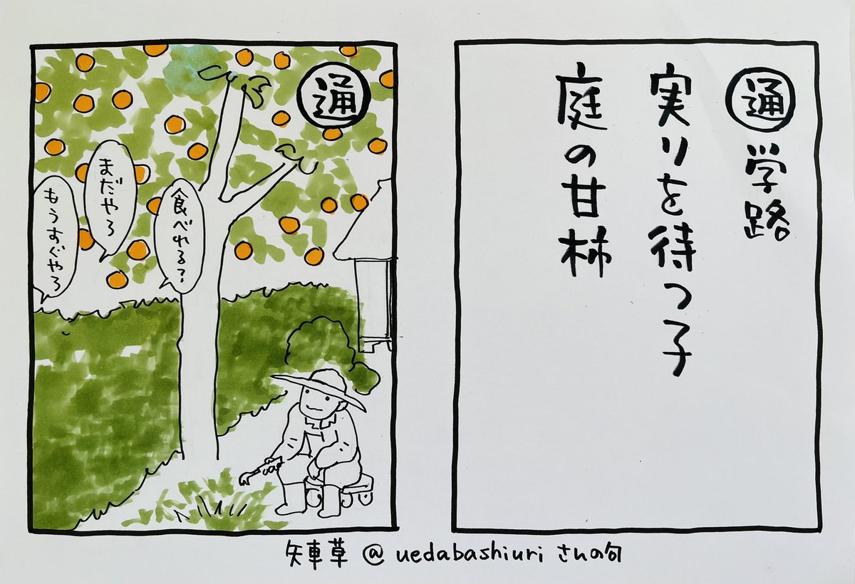 起きた人、おはよう 寝る人、おやすみ  この夜廻り猫カルタ 矢車草@uedabashiuriさんの句です。 柿を狙う子供達を優しく見てくれている感じにほっとしました 鳥たちもごちそうになれそうです 実のなる木はいいですねえ  今日 ご無事で