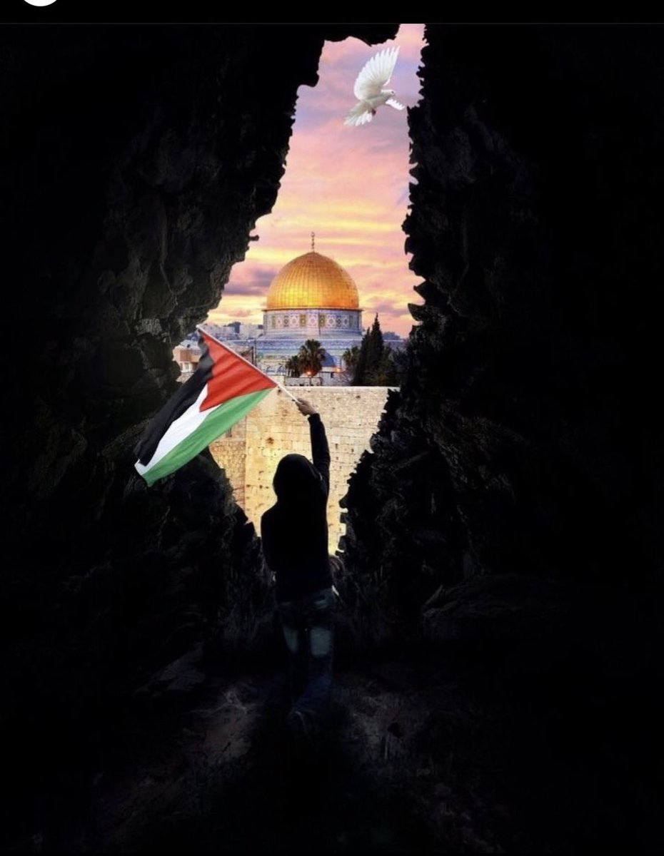 Drisinene's tweet photo. ما طلبه أبو عبيدة من العرب “ الماء والدواء “
وهذه كانت مهمة النساء في الحروب

#الصهاينة_العرب #طوفان_الاقصي #كتائب_القسام #غزة_تنتصر #الصهاينة_الى_مزبلة_التاريخ https://t.co/Cr7ci08RiG