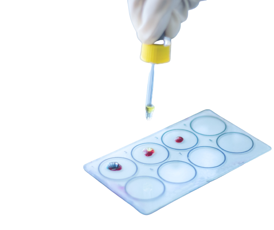 healthcarepune's tweet image. Know Your Blood Group for Just ₹49! 🩸👩‍🔬
Get your blood group tested affordably from the comfort of home with healthcare nt sickcare.
healthcarentsickcare.com/products/blood…
#BloodGroupTest #BloodTyping #HealthOffer