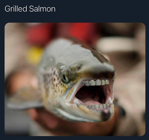 kimkomando's tweet image. Meet the real &apos;grilled&apos; salmon! 😄🐟 Who knew fish had such a sense of style? Follow @KimKomando for more tech fun. #TechLaughs #FishyFashion