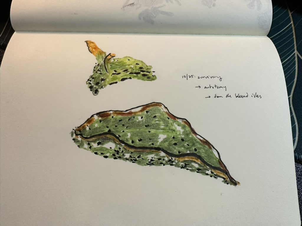 Connie Jiang tweet media