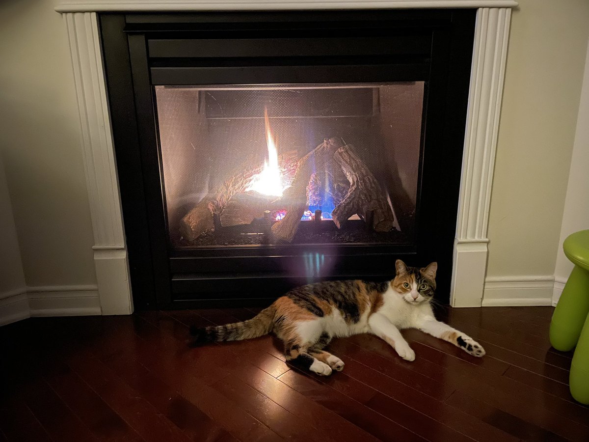 Même la chatte sent que l’automne est là!