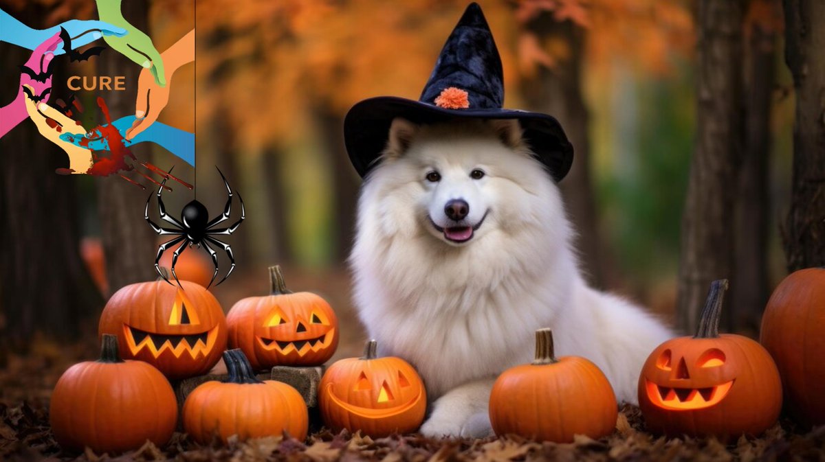 Happy Halloween, Cure Token! Let's celebrate this spooky season and continue to support each other as we strive towards a healthier future. 🎃💊 #CureToken #HappyHalloween2023

Website: curetoken.io

Twitter: x.com/token_cure?t=G…

Exchange: pancakeswap.finance/swap?outputCur…