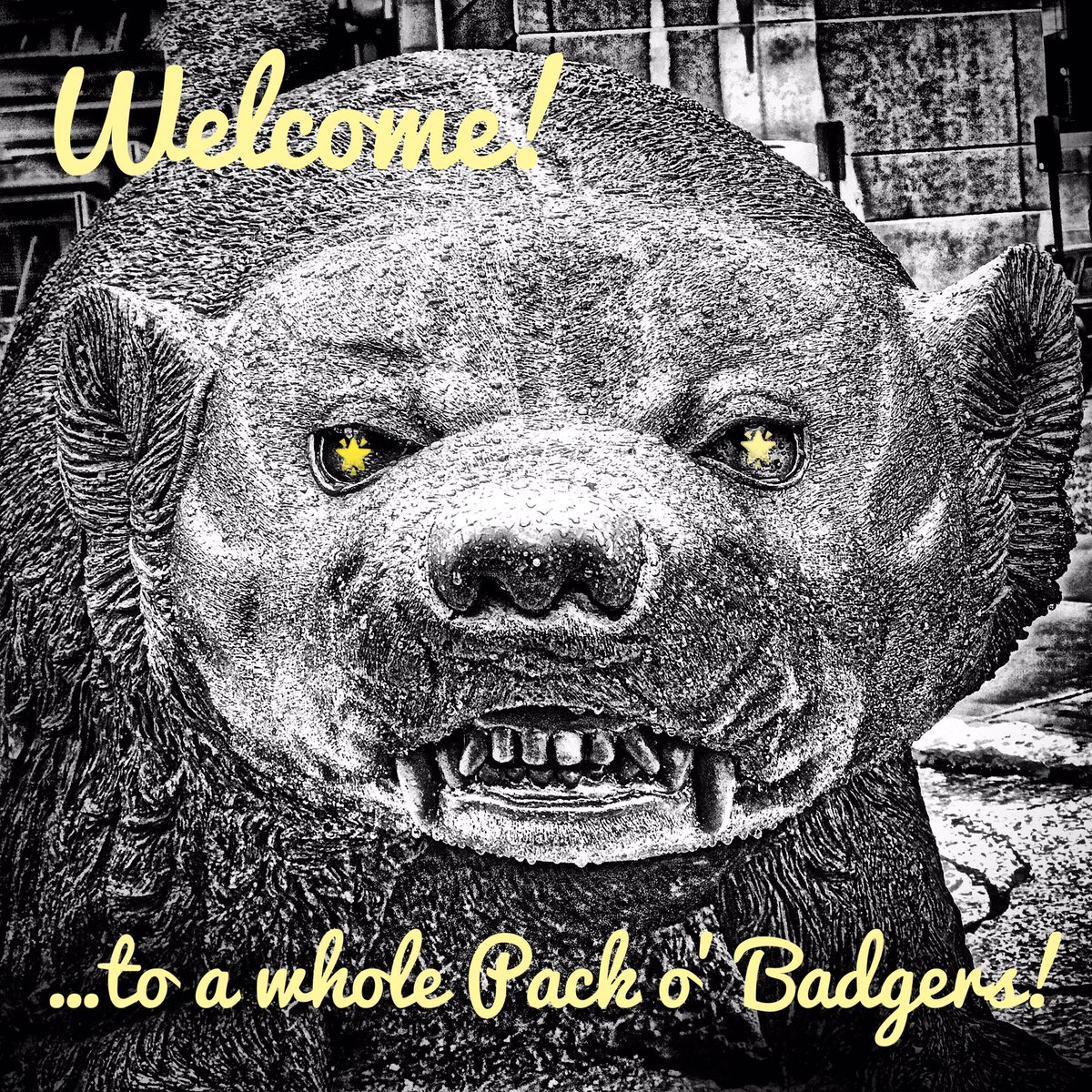 TravelWisconsin tweet media