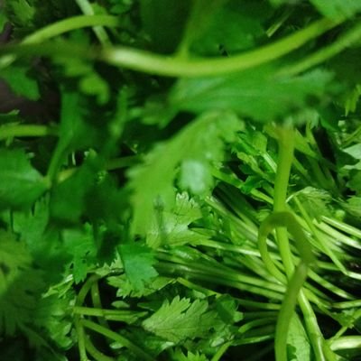 bryan suarez tweet media