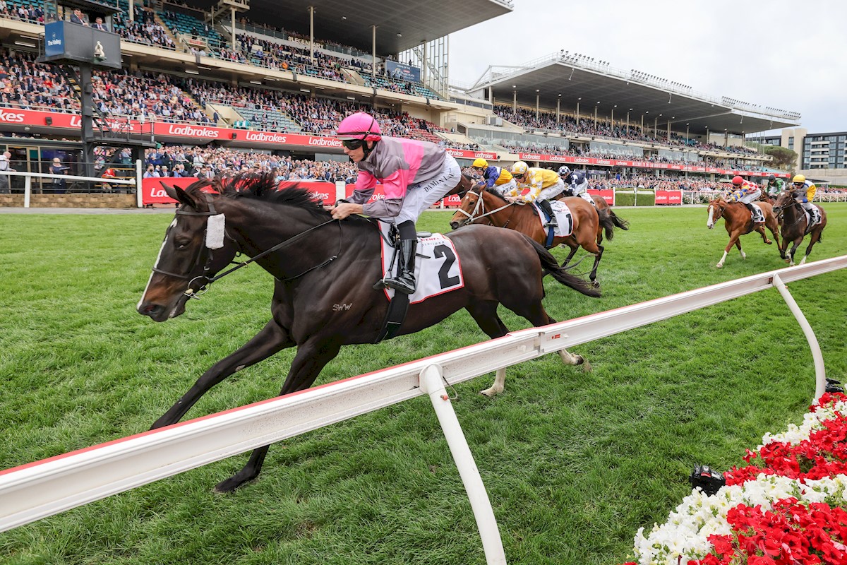 wboolracingclub's tweet photo. Congratulations to our local trainers who dominated the racecourse at The Valley on Saturday 🔥

Symon Wilde, Wishor Lass: Powerflo Solutions Tesio Stakes (G3) - winner
Ken Elford, Ashford Street: Race 1 - winner
Lindsey Smith, Tuvalu: McCafé Crystal Mile (G2) - third https://t.co/Lch6tGrvy0