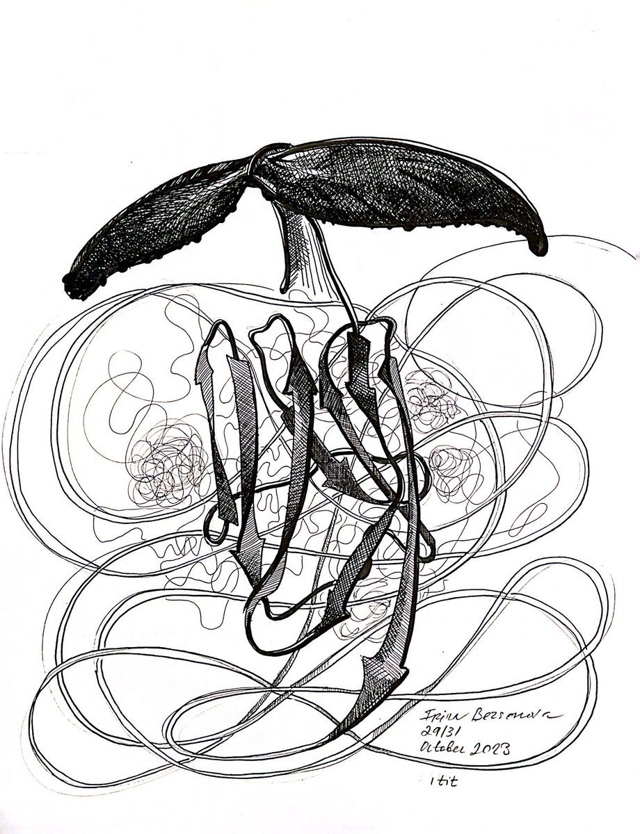 This October I’m drawing one molecule a day inspired by proteins in pdb @PDBeurope @buildmodels Day 29/31 Prompt MASSIVE Titin - the largest human protein. It’s 34,350 residues long and contains 244 domains. It’s key for muscle elasticity. Next RUSH #inktober #titin #sciart