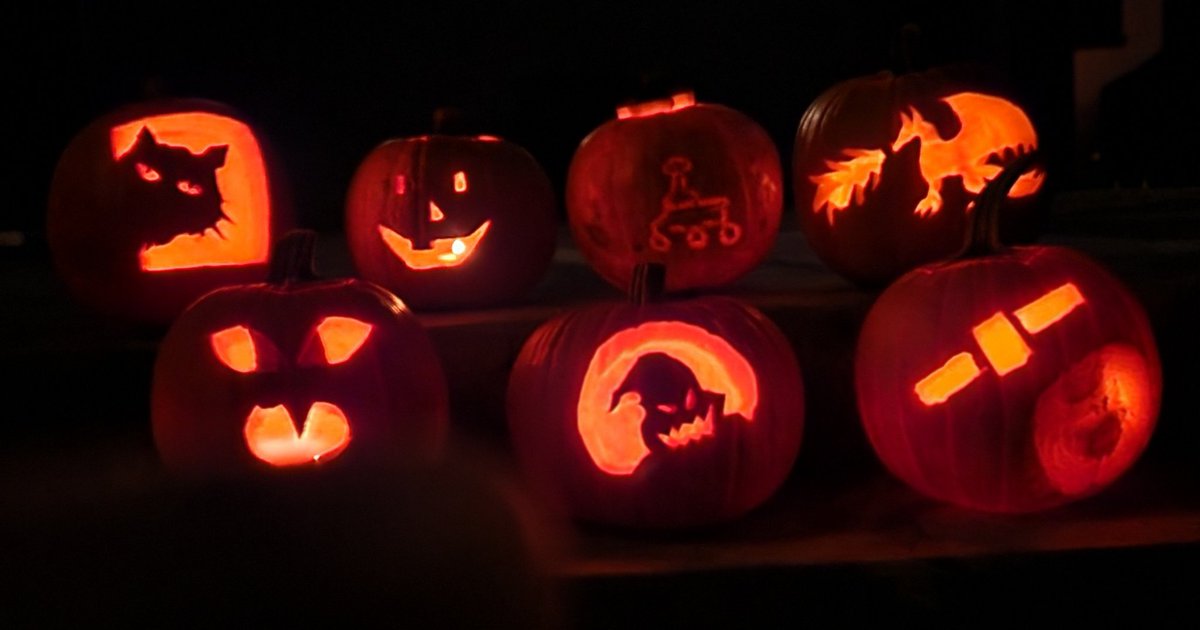 Bethany Ehlmann tweet media