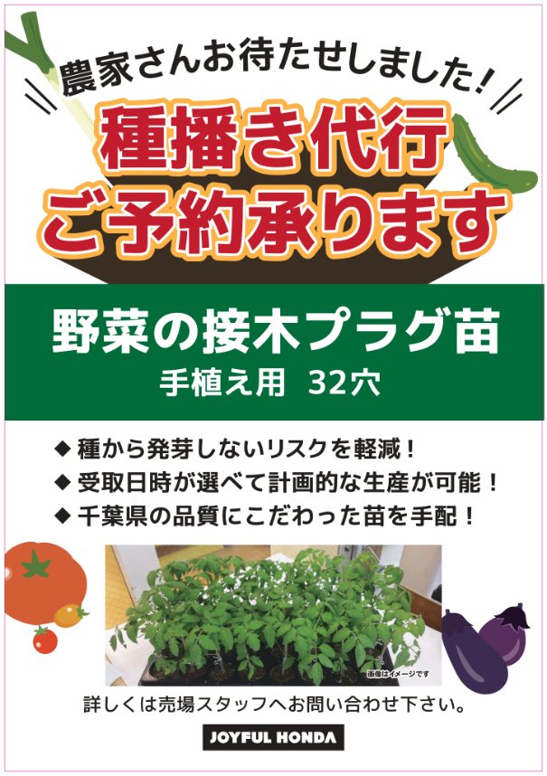 ☆ガーデンセンター商品情報☆ 多くのご要望にお応えし、野菜プラグ苗