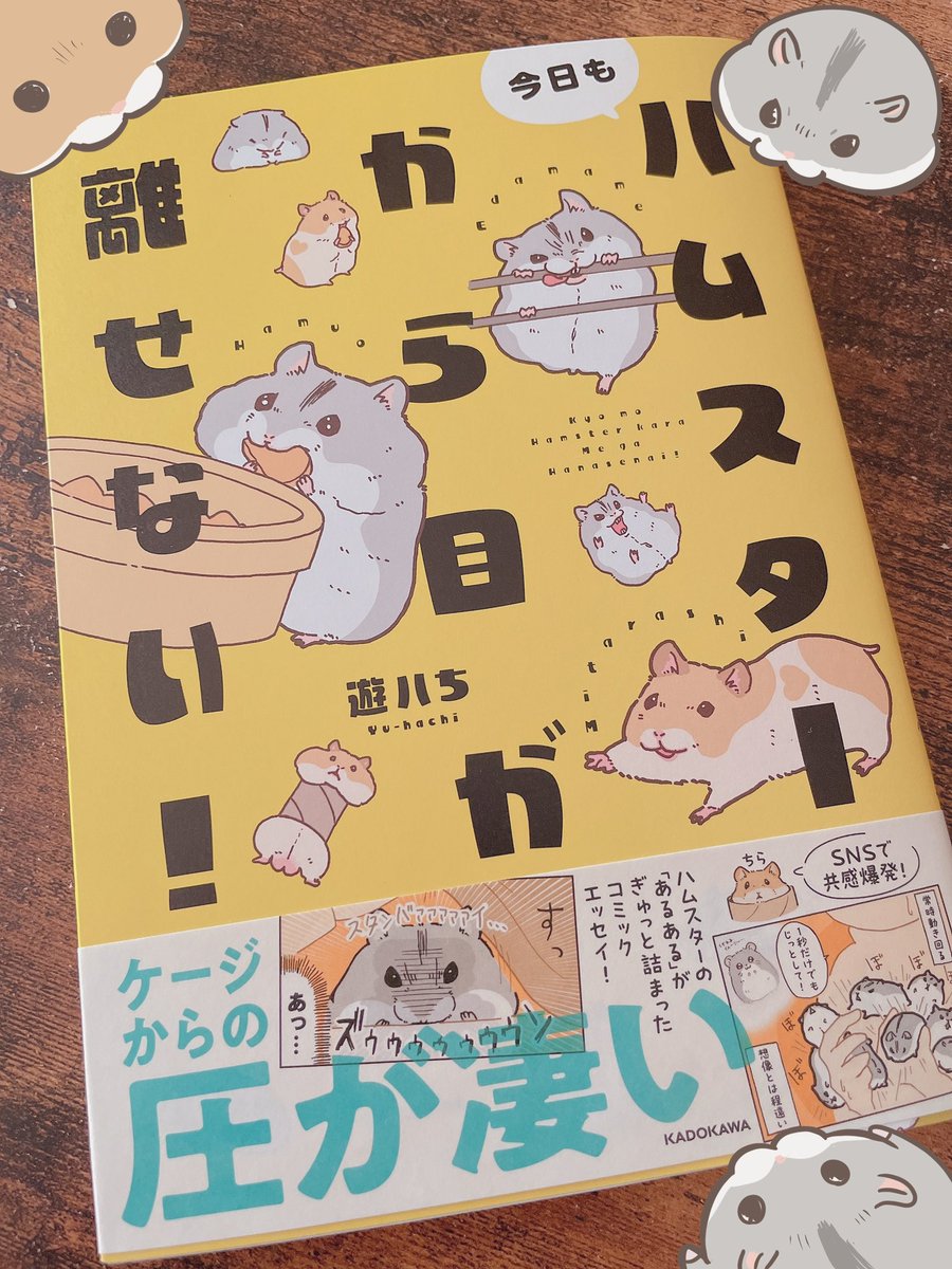 遊ハち先生(@yuhachi_hamster)の「ハムスターから目が離せない!」ご恵贈頂きました✨ ハムスターの可愛さと面白さがぎゅっと一冊に詰まっていて、とても楽しく拝読いたしました!! 素敵な御本をありがとうございます🐹💕