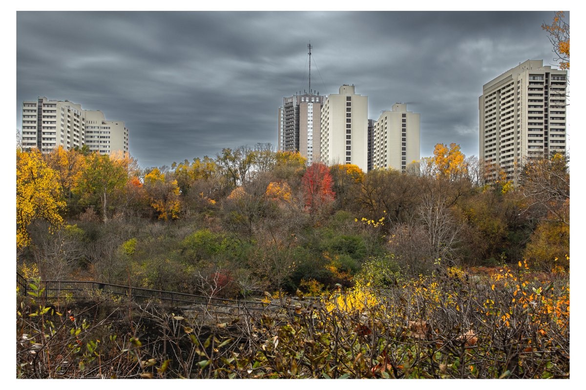 #autumn #myottawa hog's back park
#photography #thephotohour  #StormHour <a href="/StormHour/">#StormHour</a> <a href="/ThePhotoHour/">#ThePhotoHour</a>  #fallcolors #landscapephotography #landscape