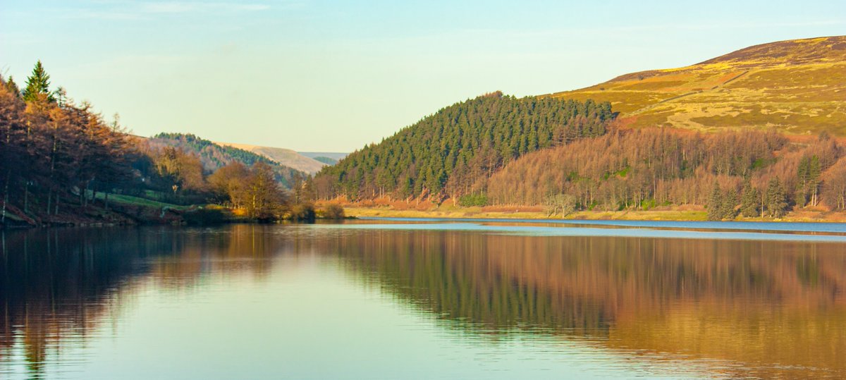 The Wildlife Trusts tweet media