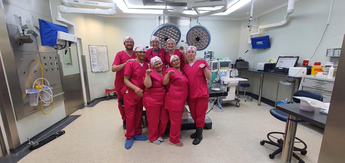 ProjFlamingo's tweet photo. Celebration day! 🔥 Today seems fitting to celebrate our PF teams at 4 hospitals who gave it their all over the past 2 weekends while Amabokoboko did just the same🙌  
We cannot help but draw some parallels to the battle on the field and the battle our patients face on a daily. https://t.co/FkcnytiCU2