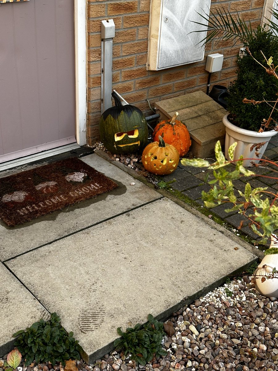 PainterKb's tweet photo. Here are our pumpkins from Eva Lacey and Tyler and of course mum (Robyn) and daddy (Kai)
@BBCBreakfast https://t.co/v8Ak5lIdRQ