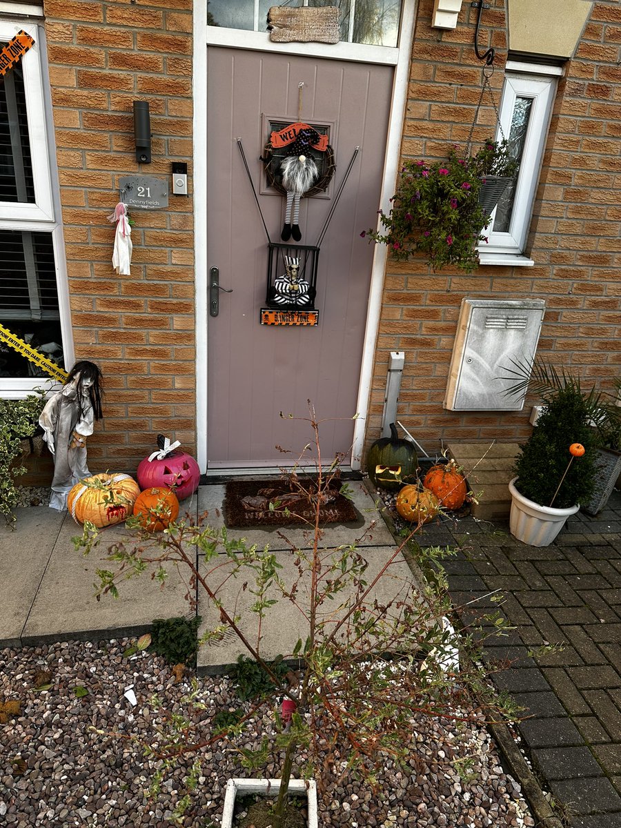 PainterKb's tweet photo. Here are our pumpkins from Eva Lacey and Tyler and of course mum (Robyn) and daddy (Kai)
@BBCBreakfast https://t.co/v8Ak5lIdRQ