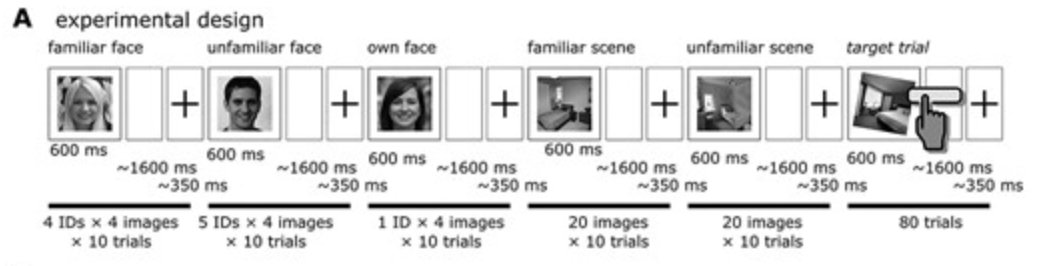 your place or mine? new paper about scene familiarity  eeg and mvpa. academic.oup.com/cercor/advance…