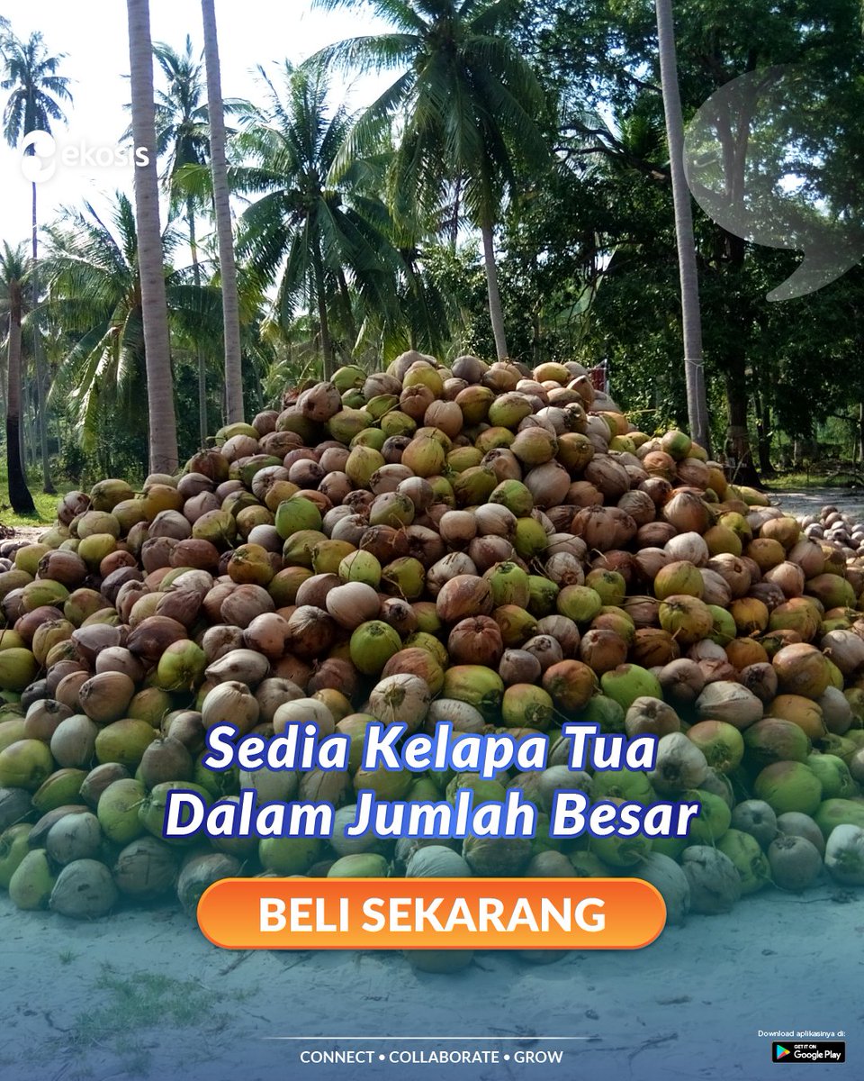 ekosis_id's tweet photo. Temukan produk Kelapa Tua di Ekosis!

Klik Beli Sekarang untuk langsung berbelanja dan mengetahui rincian produknya.

Shop: https://t.co/ZCtdVTy62U

#ekosis #agribisnis #ekosistemagribisnis #direktoriagribisnis #aplikasiagribisnis #kelapatua https://t.co/UnMKZy6DnU