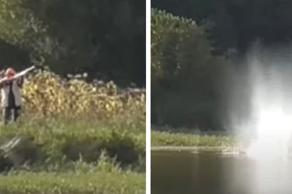 PartiAnimaliste's tweet photo. « Le canard est achevé en le tapant sur une caisse. Le chasseur casse les ailes d'un autre canard. » 

Cette enquête de @RigauxNature révèle que des canards sont massacrés pour entraîner des chiens de chasse.

Ces pratiques illégales doivent être fermement condamnées ! https://t.co/YX6IUfDyrS