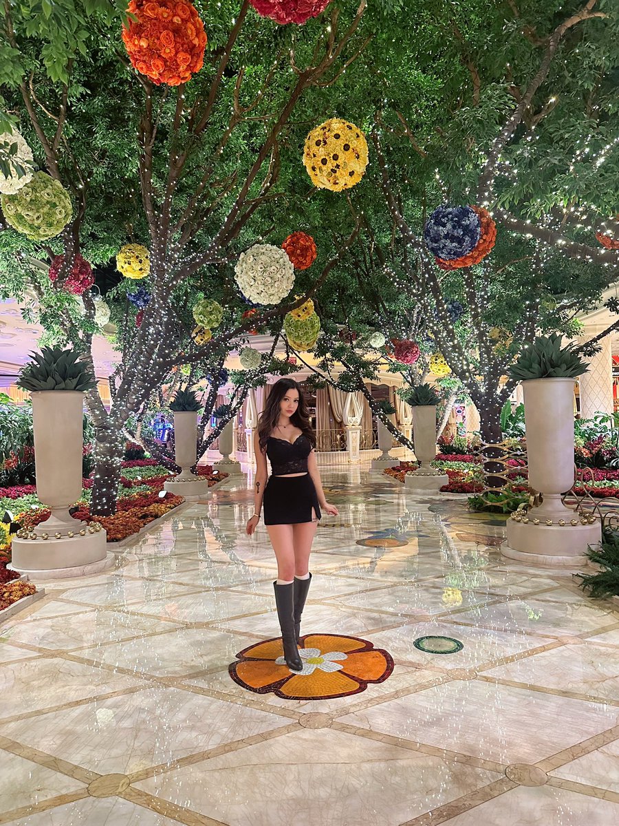 We had an amazing time in Vegas!!~ But that was enough vacation for me I’m happy to be home!🥱