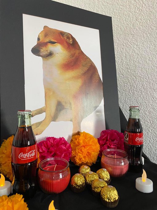 te vamos a extra&ntilde;ar cheems el mejor  #Cheems #DiaDeMuertos #DiaDeMuertos2023 #pandemuerto #Mexico https://t<a href="/tag/cheems"class="tags">#Cheems</a><a href="/tag/diademuertos"class="tags">#DiaDeMuertos</a><a href="/tag/mexico"class="tags"><span>#mexico</span></a><a href="/tag/pandemuerto"class="tags"><span>#pandemuerto</span></a><a href="/tag/diademuertos2023"class="tags"><span>#diademuertos2023</span></a>