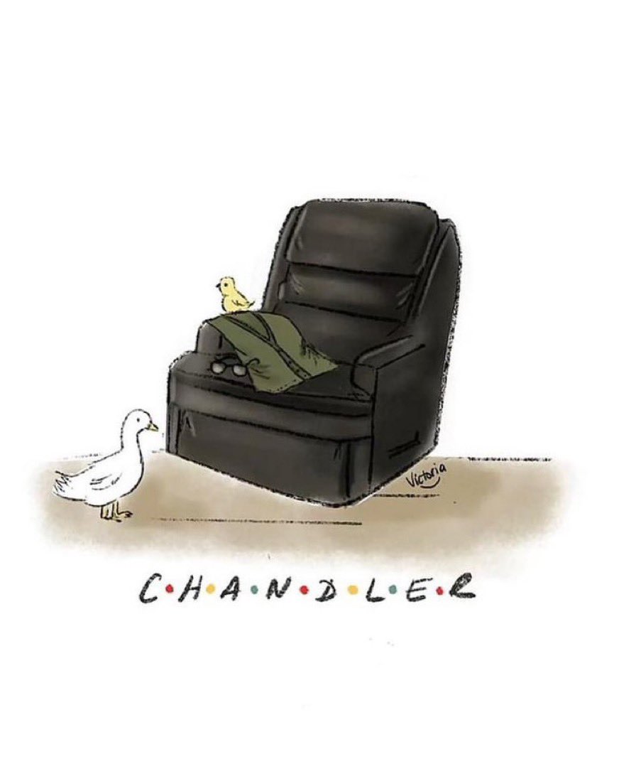 Thank you and rest easy Matthew Perry. 🙏