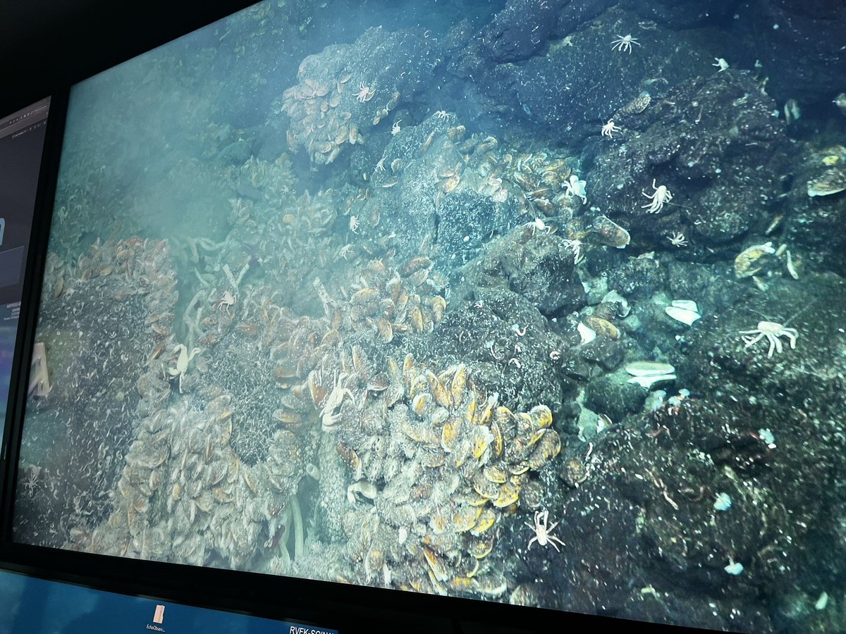 Dr. Erin Bethell tweet media