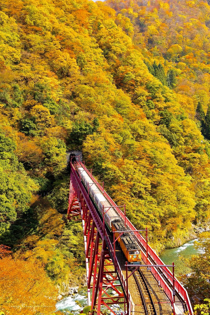 karakky0918's tweet image. 秋の車窓から。
どんな風に観えるんだろう。

#黒部峡谷トロッコ電車