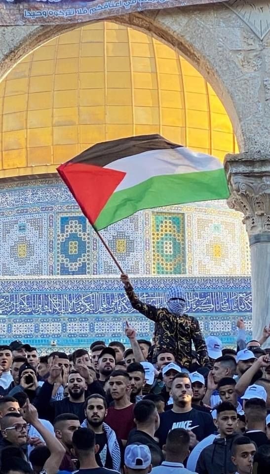 بين أنف ملثم ما زادنا إلا إيماناً بالله 🇵🇸
وقلوب وألسنة ملثمة ما زادتنا إلا خزيٌ في الدنيا 🗺️