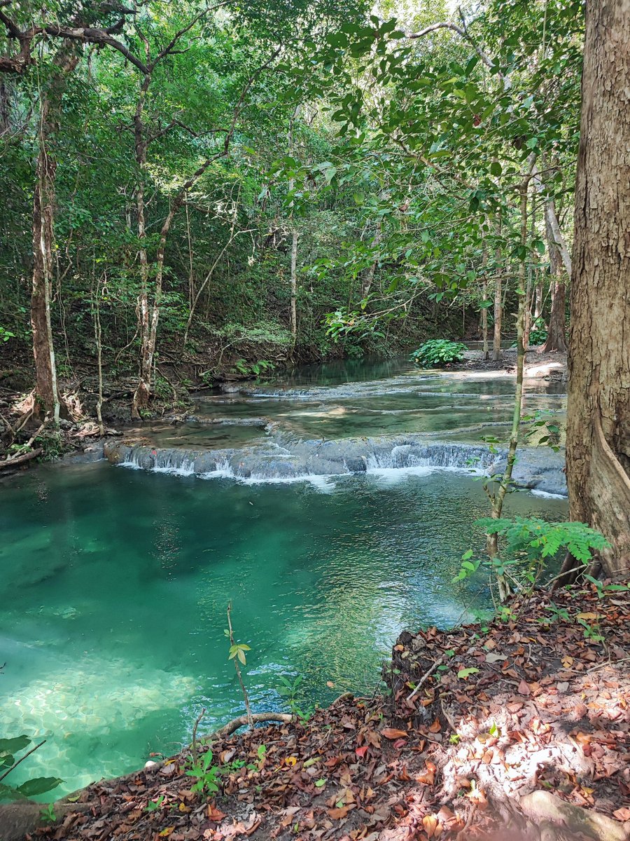 Wego Indonesia tweet media