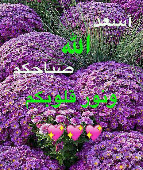 @rajab_aldoury @Alaayous3 @amr_snds5281 @linaassil_assil @Meire49050201 @Gigi46830095 @Ozlerntr @foz3x3 @AsltanataZri9i @y11j3 @GAt__3 @uugdser @kitty_894 @thasanee66 @TTTT_T19 @_11jj11 @muskanfaraz3 @3ashktalahly22 @766feb33261e402 @kie_melody12s24 @maryann_zaccone