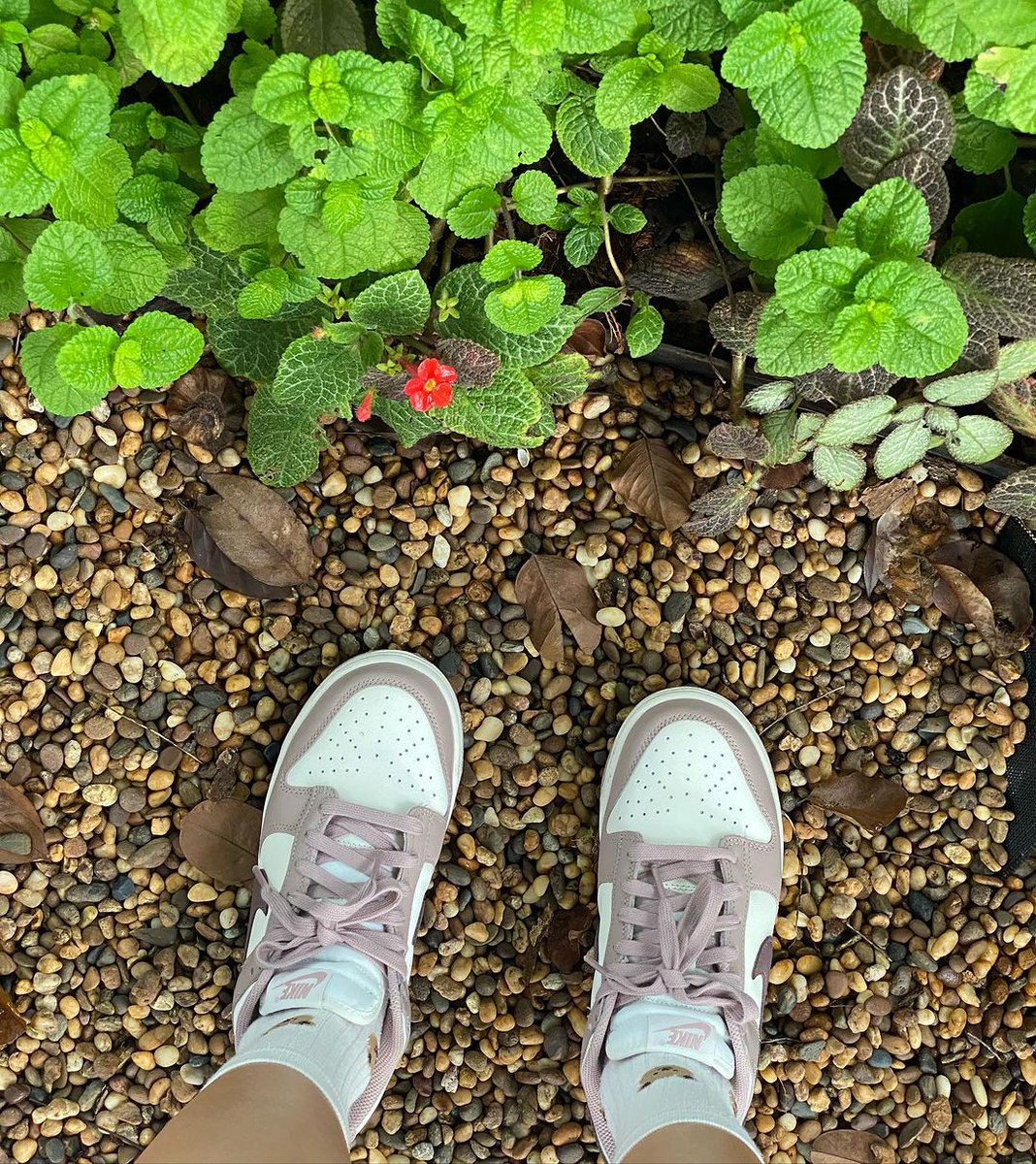 🐸🍀 Chillin' at home