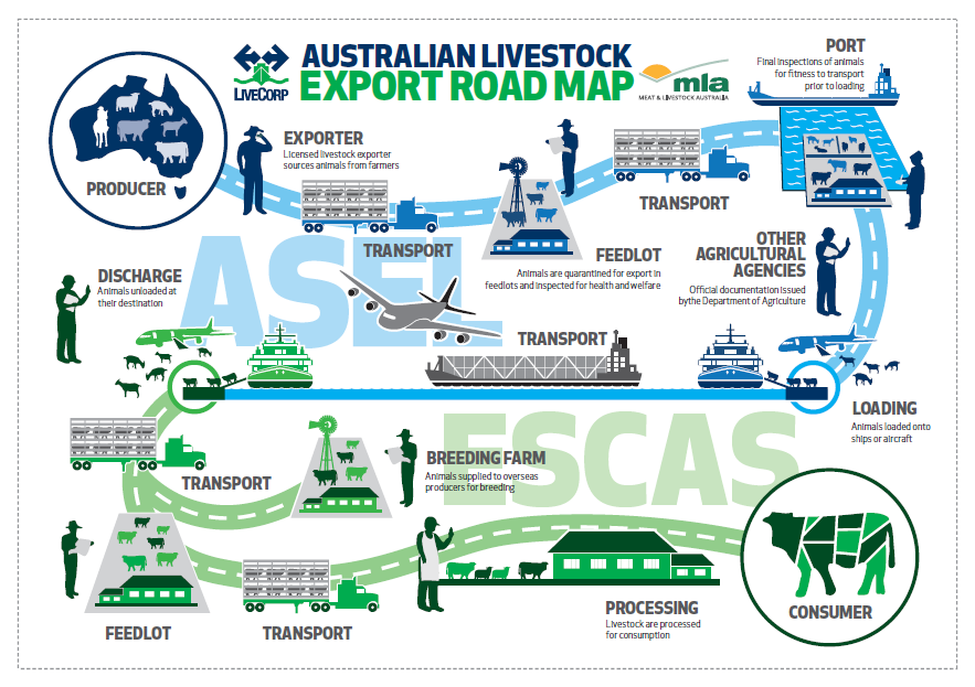stationmum101's tweet photo. I've written a blog about the horrific abuse of not only farmers, but people who provide services to #ausag and how the #sheep live ex ban will hurt us all.
Thanks @annbritton @steven_bolt4 @logue_phil & @NicolleJenkins for sharing.
Read it here: https://t.co/tZRD9EPPnI https://t.co/RmgxCCS8u4