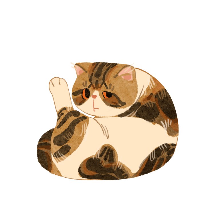 nzdd000's tweet photo. 猫狗狗狗 https://t.co/TydA5jpt0R
