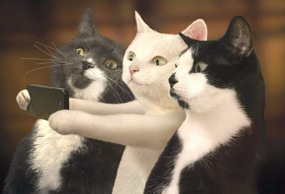 Tôi khi xem chart btc tuần vừa rồi 🫣